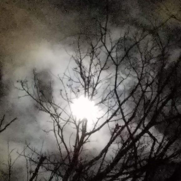 Meet your Posher, Candour - Picture 1 of 1